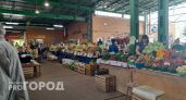 В Нижегородскую область пытались ввезти 40 тонн запрещенного овоща