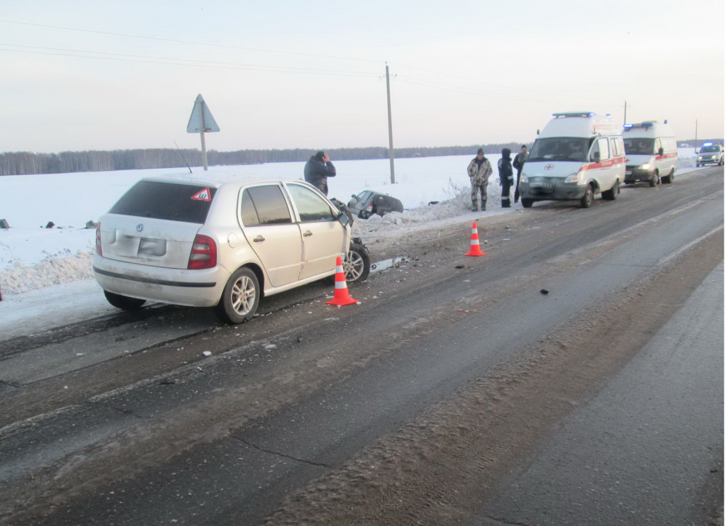 авария в Городецком районе 10 февраля 2018 года