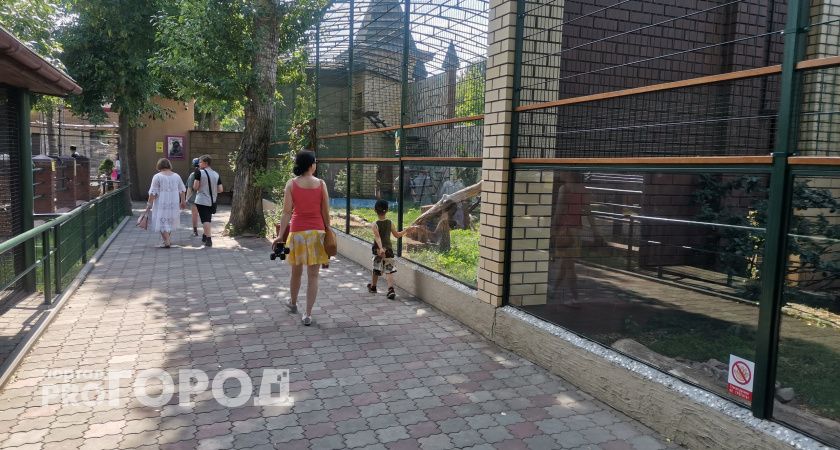 Нижегородские школьники смогут бесплатно посетить зоопарк
