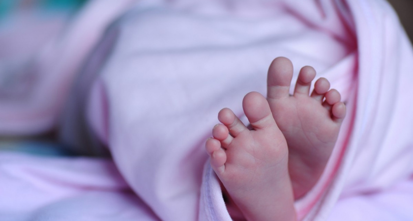 В Нижегородской области стали чаще рождаться двойняшки