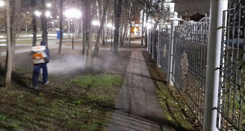 Парки Нижнего Новгорода начали обрабатывать от клещей: куда не пустят посетителей