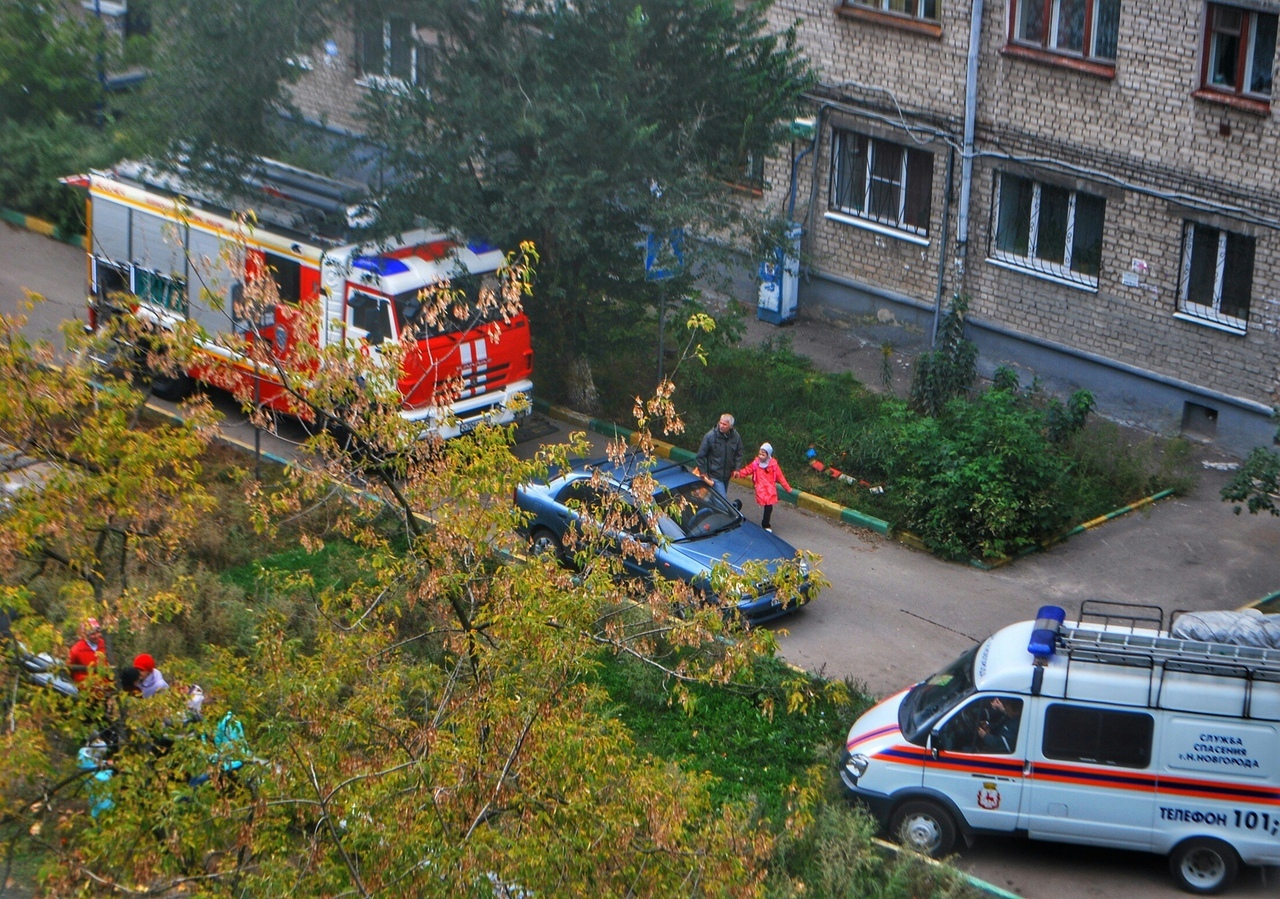Нижегородская полиция прокомментировала инцидент на проспекте Ленина