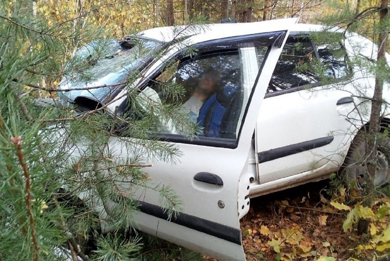 Пьяный водитель вылетел в кювет и врезался в дерево в Выксе