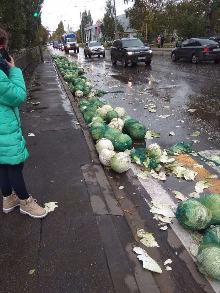 Сегодня будут голубцы или щи: проезжая часть одной из улиц Автозаводского района усыпана капустой (ВИДЕО)