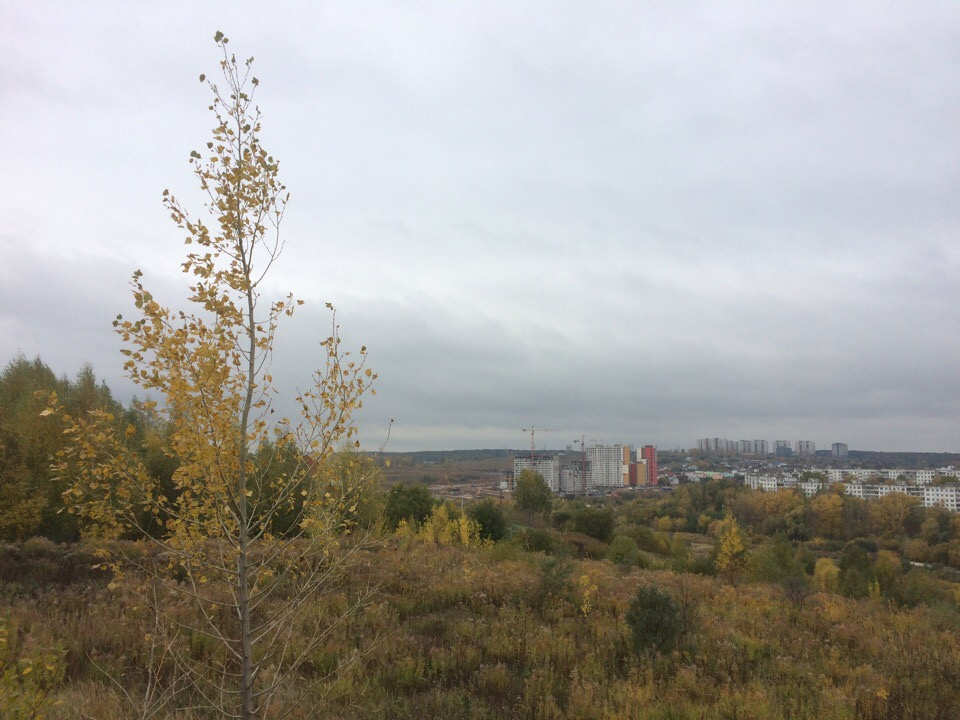 Прогноз погоды в Нижнем Новгороде на 20 октября