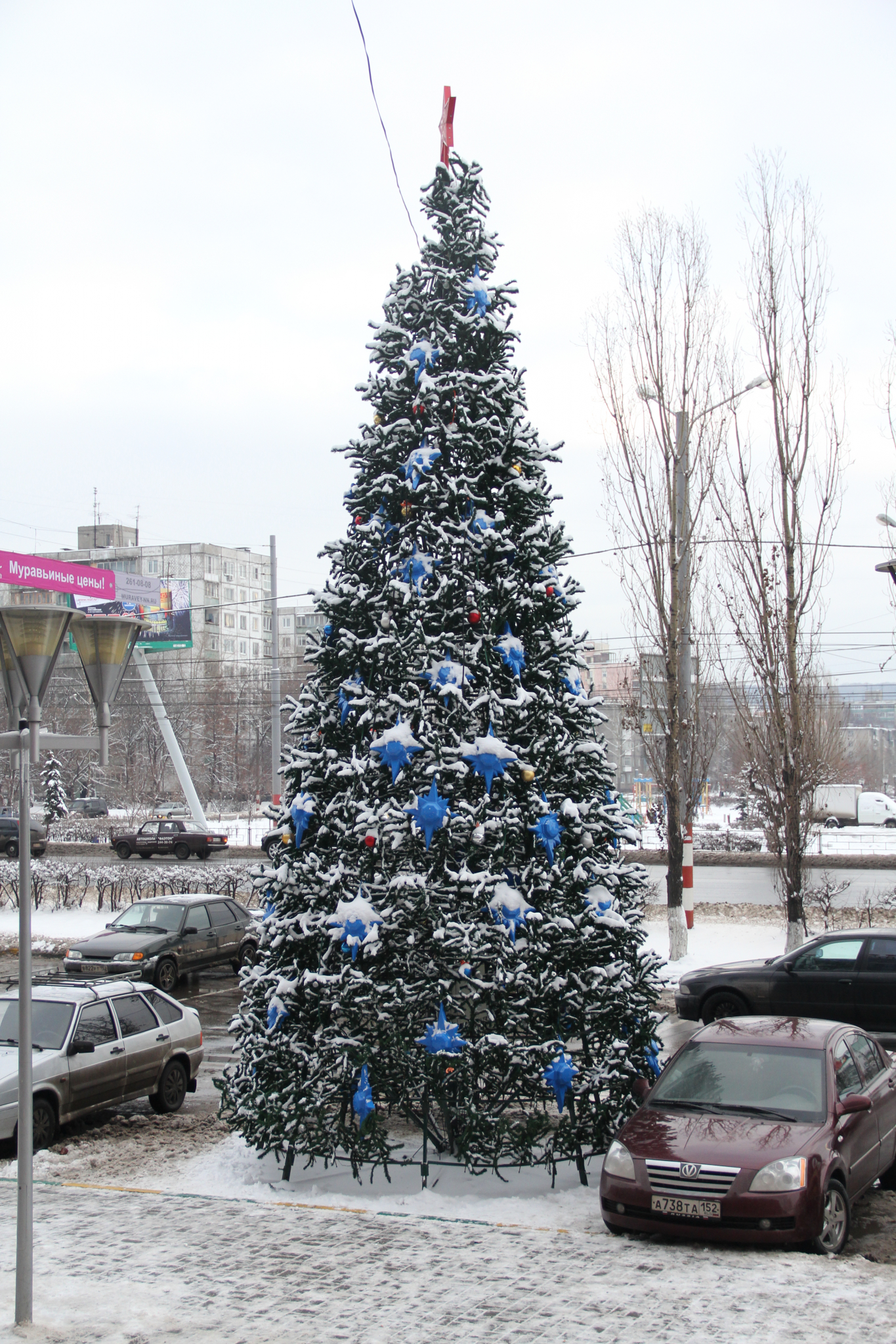 Новогодние елки установят во всех районах Нижнего Новгорода до 15 декабря