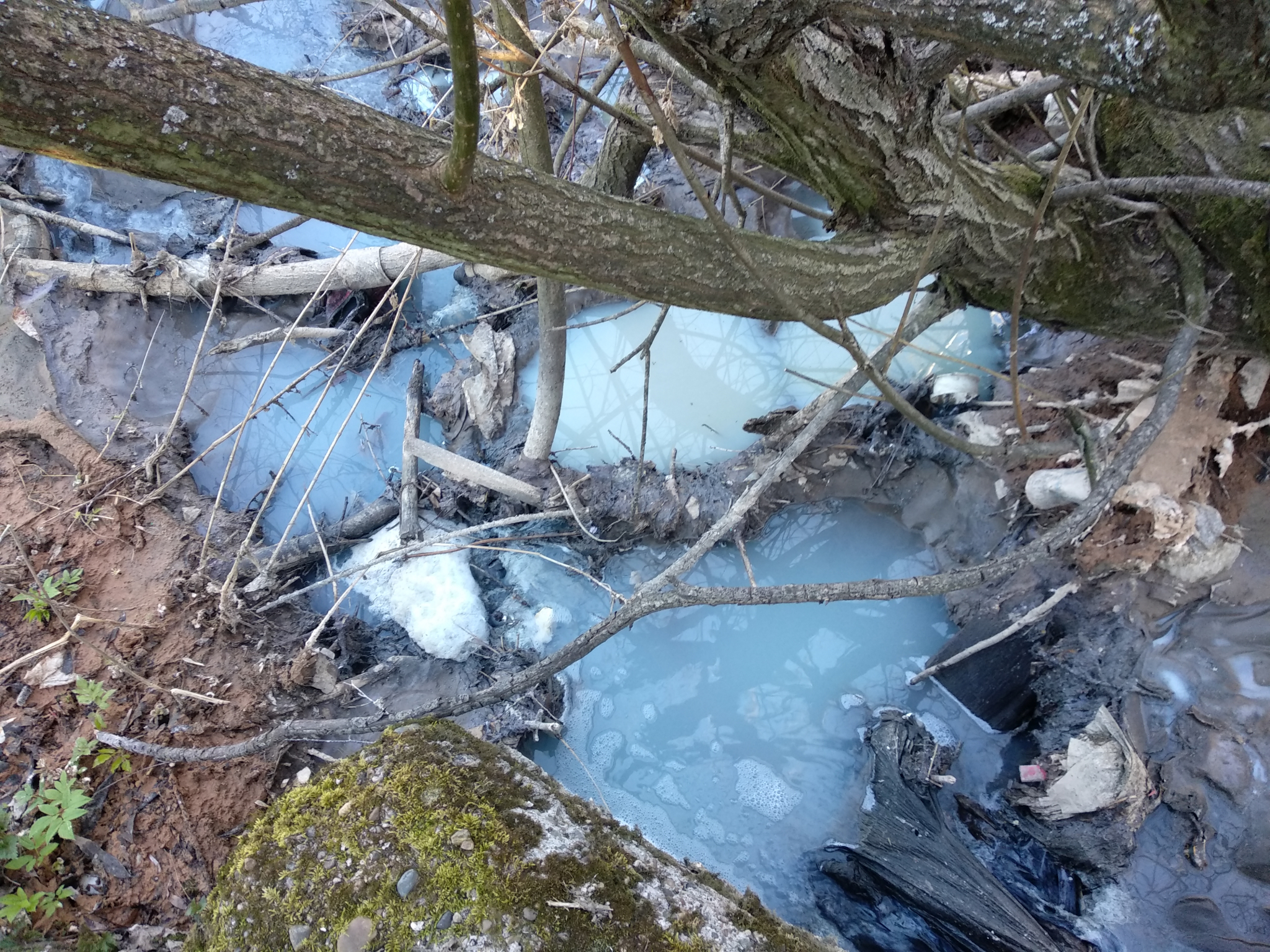 Неизвестные химикаты слили в реку Рахма в Нижнем Новгороде