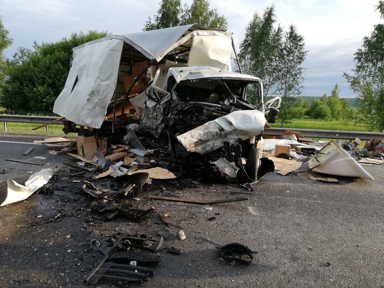 Автомобили превратились в груду железа: мужчина погиб в аварии в Лысковском районе (ФОТО)
