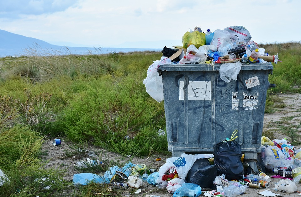 Нижегородские ДУКи и регоператоров оштрафовали на 6 миллионов за невывоз мусора