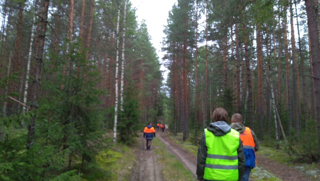 Объявлен срочный сбор на поиск: Владимир Хламов пропал в лесу Нижегородской области