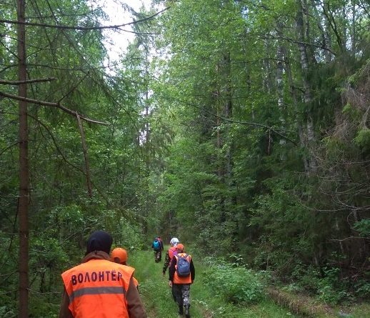 Два человека пропали в лесу: поисковикам очень нужна помощь нижегородцев