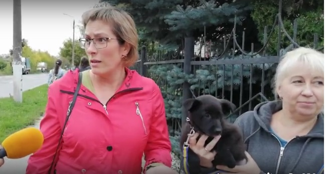 Жительница Дзержинска, которая щенками лечила мужа извинилась перед нижегородцами