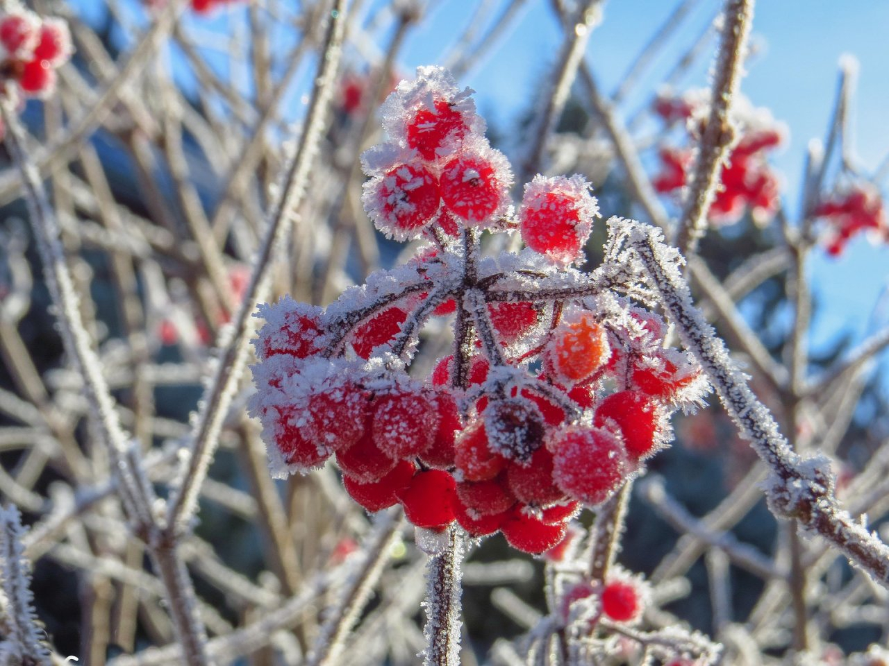 Зима пришла: мороз до -10 градусов ожидает нижегородцев в выходные