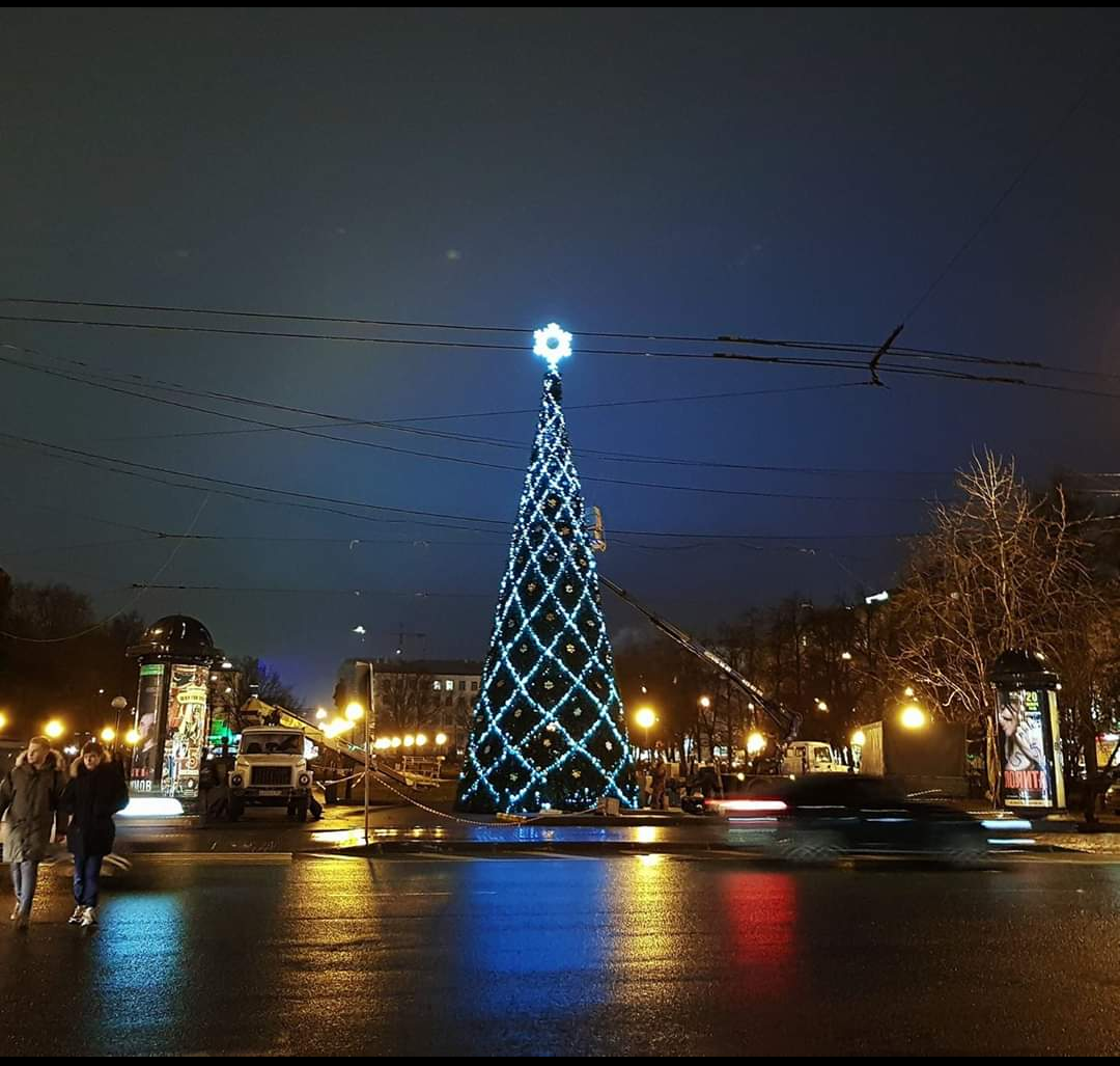 Новый год не за горами: рождественская елка появилась на площади Горького