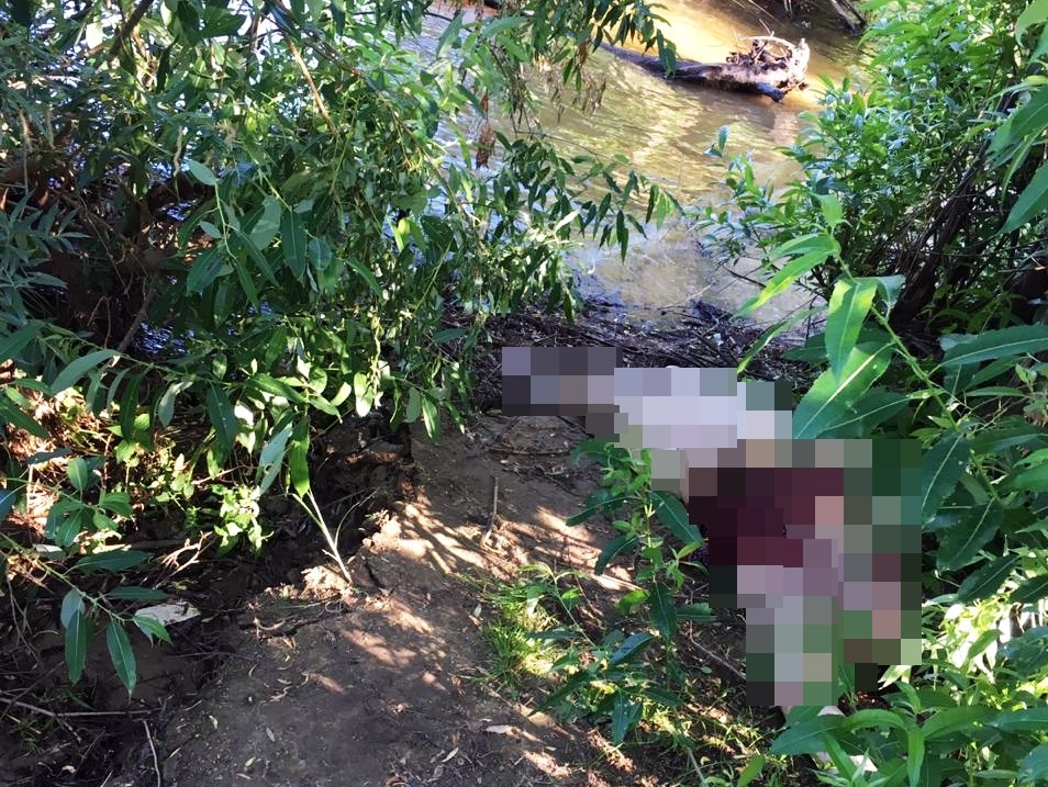 В Ленинском районе рыбак обнаружил в Оке тело 51-летней женщины