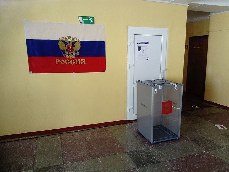 В Нижнем Новгороде предотвратили попытку провокации на голосовании за поправки в Конституцию