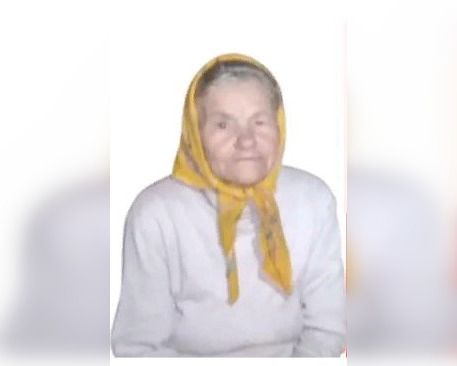 85-летнюю Полинарию Агееву вторые сутки ищут в Борском районе