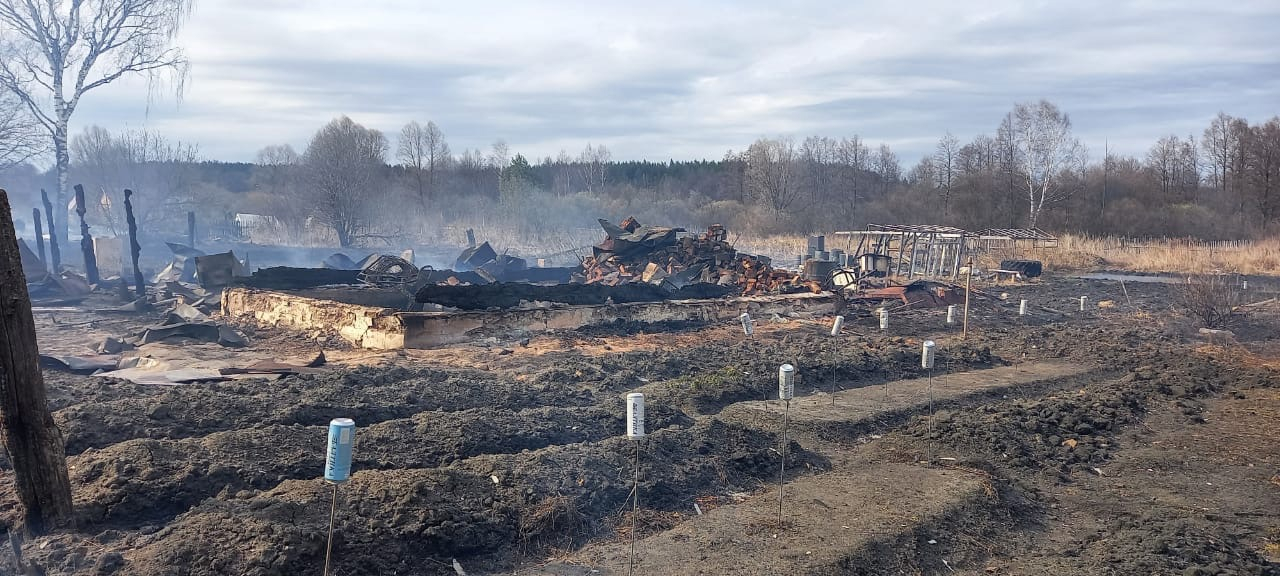 Из-за пала травы загорелись 8 жилых домов в Богородском районе