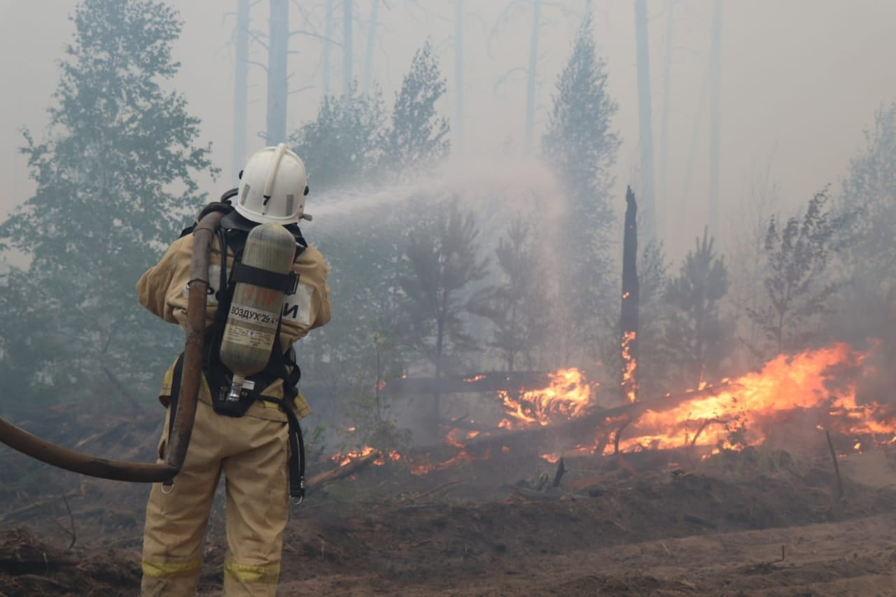 «С ночи запах гари»: последствия пожара в Мордовском заповеднике в Нижегородской области