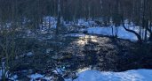 В лесу Нижегородской области обнаружен разлив канализационных вод