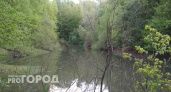 В Нижнем Новгороде начали "амбициозный проект" по расчистке русла реки