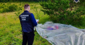 В лесу Починковского района нашли тело убитой женщины