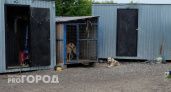 Бешеная собака напала на хозяина в Краснооктябрьском районе