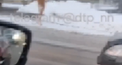 В Нижнем Новгороде голый мужчина пытался поймать транспорт в 20-градусный мороз