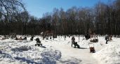 Зимняя сказка в Нижегородской области: последнее воскресенье января обещает быть снежным