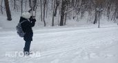 Зимняя идиллия: какая погода будет в Нижегородской области в первые выходные февраля