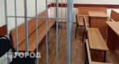 Долг в 5 миллионов отправил многодетную мать из Дивеевского района в тюрьму 