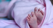 В Нижегородской области стали чаще рождаться двойняшки