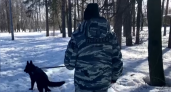Служебная собака Супра помогла найти грабителя в Дзержинске 