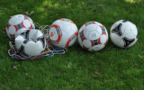 За время ЧМ в мусорках Сормовского района нашли больше 20 мячей