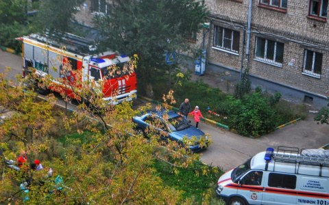 Нижегородская полиция прокомментировала инцидент на проспекте Ленина