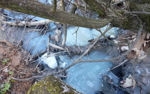 Неизвестные химикаты слили в реку Рахма в Нижнем Новгороде