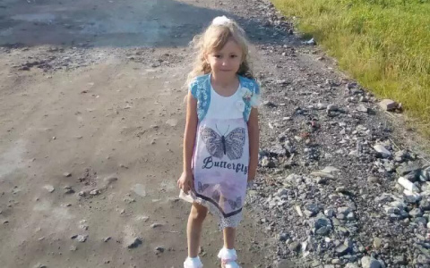 Опубликовано видео поисков пятилетней Зарины Авгоновой