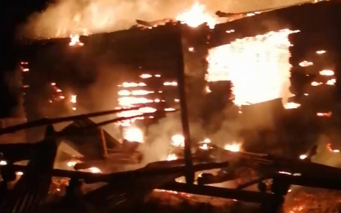 "Пожар забрал все": мать и восемь детей спаслись от огня в Вознесенском районе