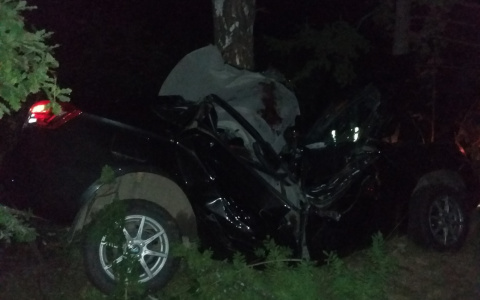 Автомобиль с подростками врезался в дерево в под Балахной: четверо пострадали и один погиб